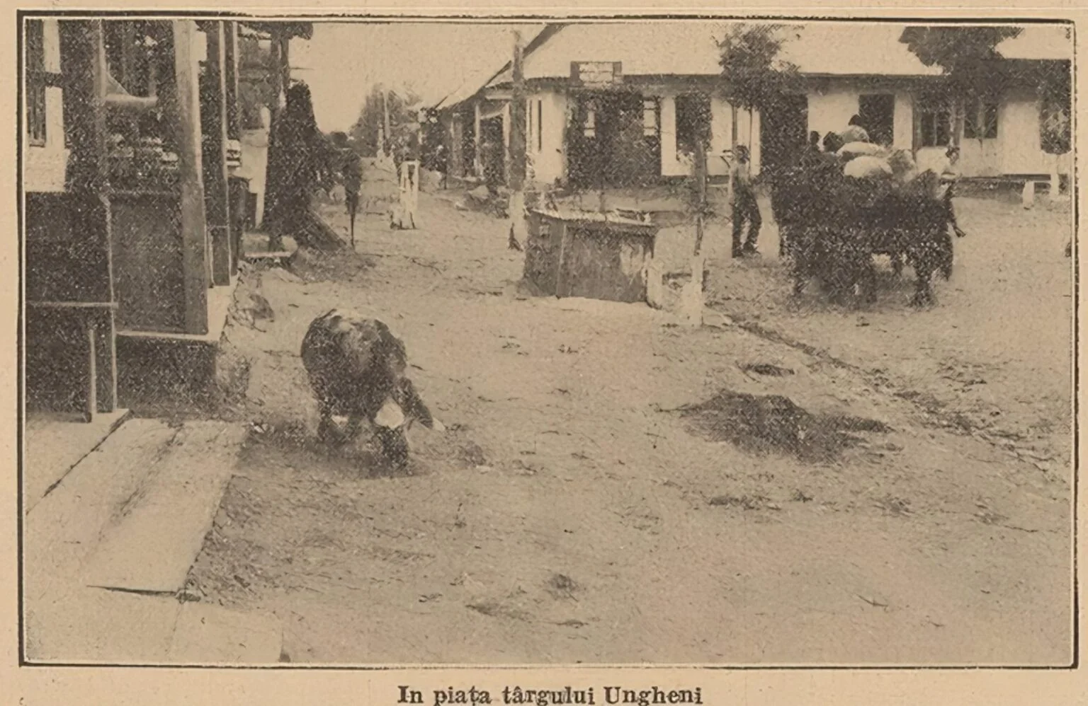 Târgul UNGHENI în anii României Mari